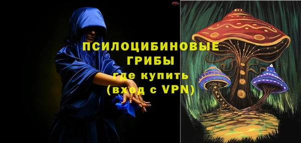 Альфа ПВП Вязьма