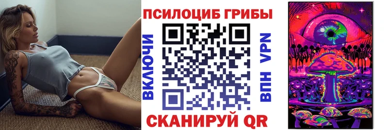 Галлюциногенные грибы Cubensis  KRAKEN рабочий сайт  Дальнегорск 