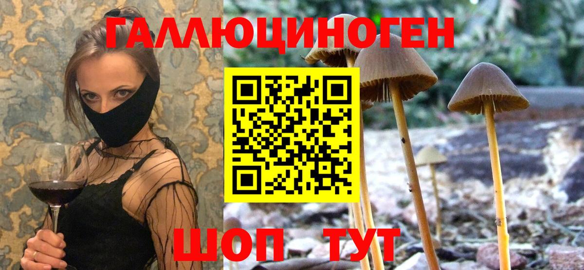 Дальнегорск  Псилоцибиновые грибы мицелий  Вход с VPN 