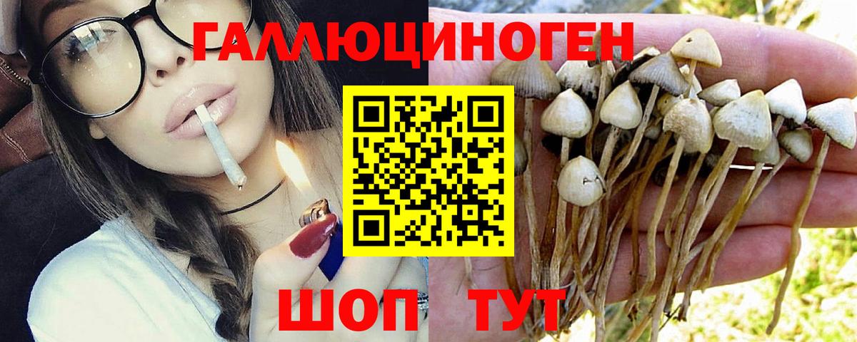 Псилоцибиновые грибы мухоморы Дальнегорск